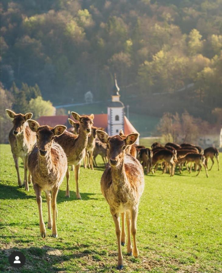 Guesthouse Jelenov Greben Podcetrtek Bagian luar foto