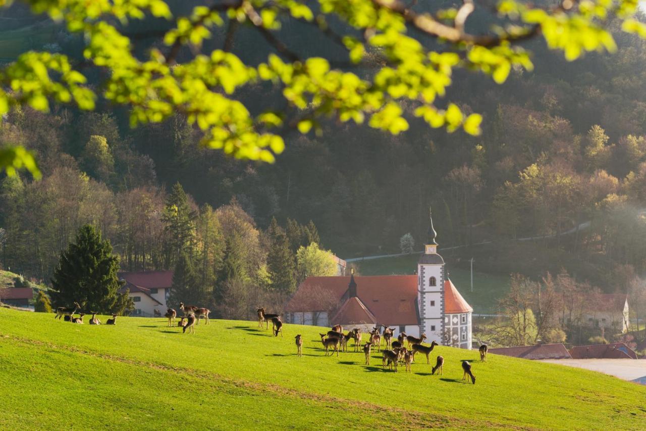 Guesthouse Jelenov Greben Podcetrtek Bagian luar foto